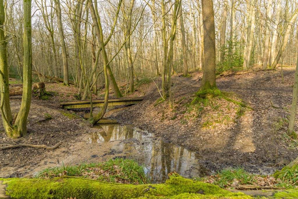 Broxbourne Woods National Nature Reserve | Cheshunt, UK | Phone: 01992 588433