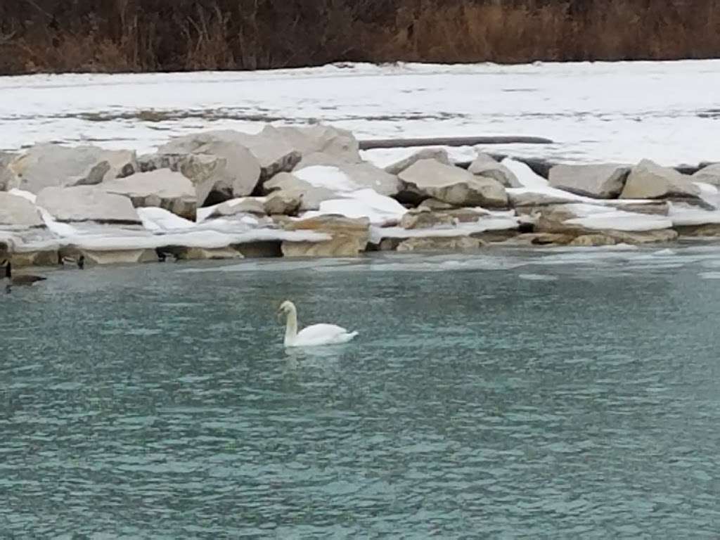 Montrose Point Bird Sanctuary | Chicago, IL 60640, USA