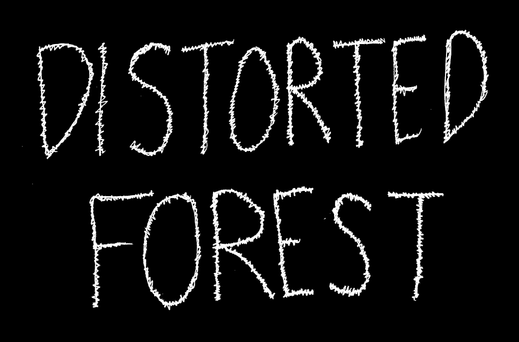 Distorted Forest Studio | 611 Rocky Hill Rd, North Smithfield, RI 02896, USA | Phone: (401) 339-2550