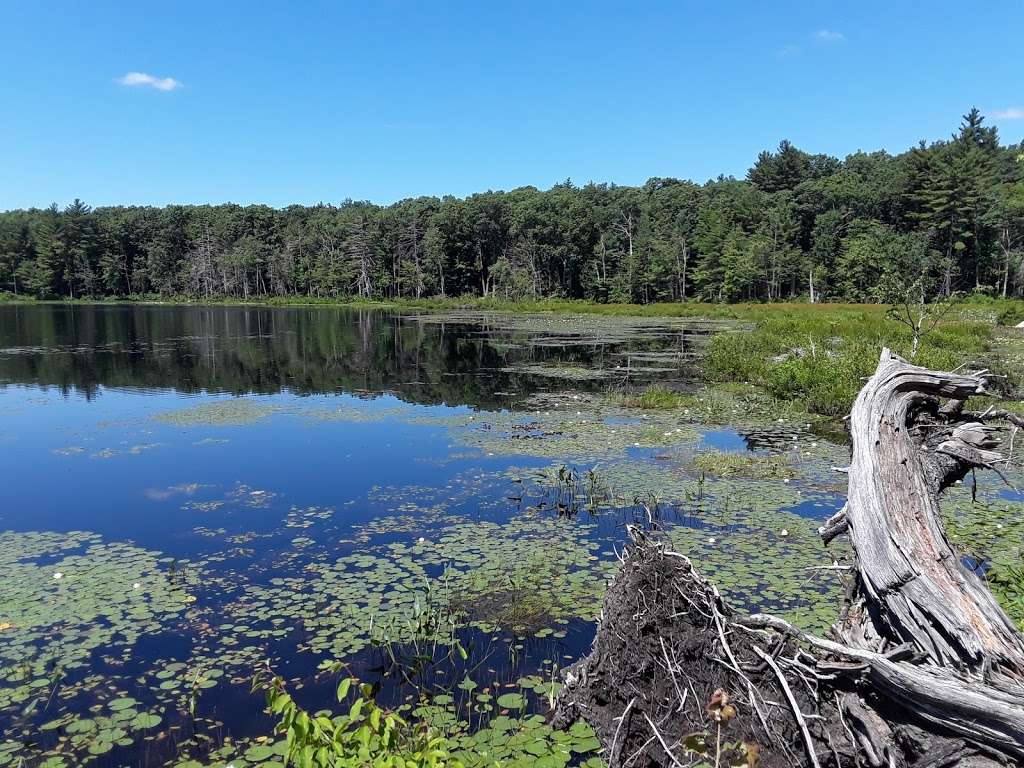 Mass Audubons Rocky Hill Wildlife Sanctuary | Cardinal Lane, Groton, MA 01450, USA | Phone: (978) 464-2712