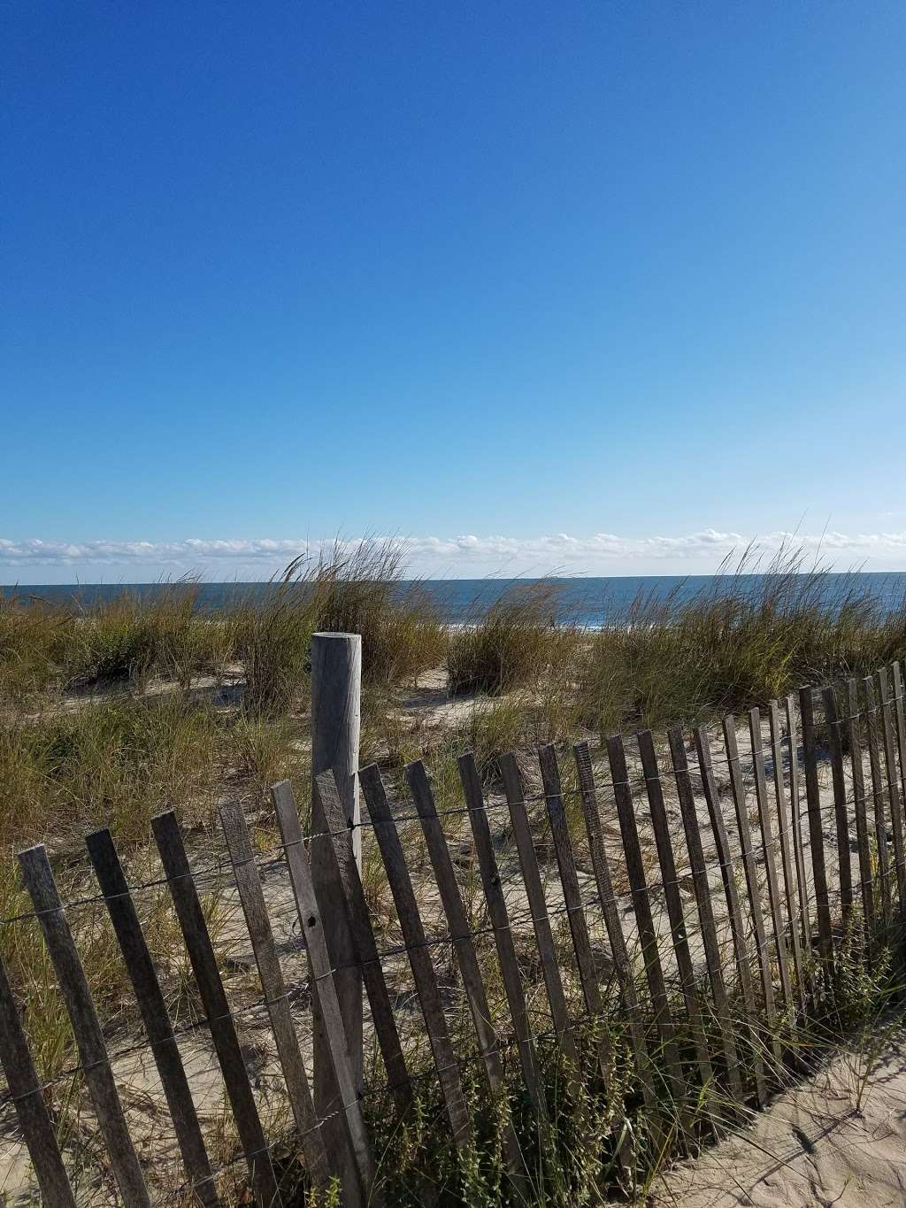 Fenwick Island State Park | 6 E Georgetown St, Fenwick Island, DE 19944