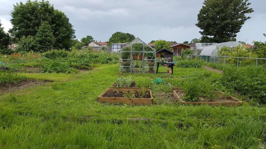 Stanley Road Allotments and Gardens | 3 Alexandra Gardens, Carshalton SM5 4LJ, UK