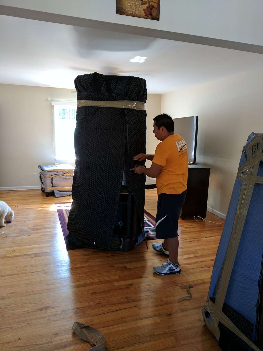 Home Moving Solutions | 299 Forest Ave h, Paramus, NJ 07652, USA | Phone: (201) 345-4663