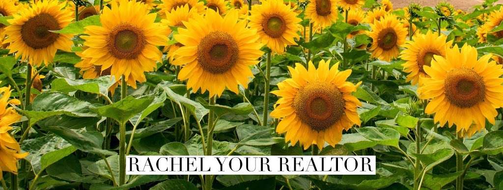 Rachel Milito, Real Estate Professional | 5900, 155 River Rd, North Arlington, NJ 07031, USA | Phone: (973) 570-2926