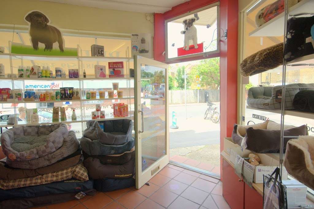 Woofs A Daisy | 36 Coombe Rd, Kingston upon Thames KT2 7AG, UK | Phone: 020 8549 3469