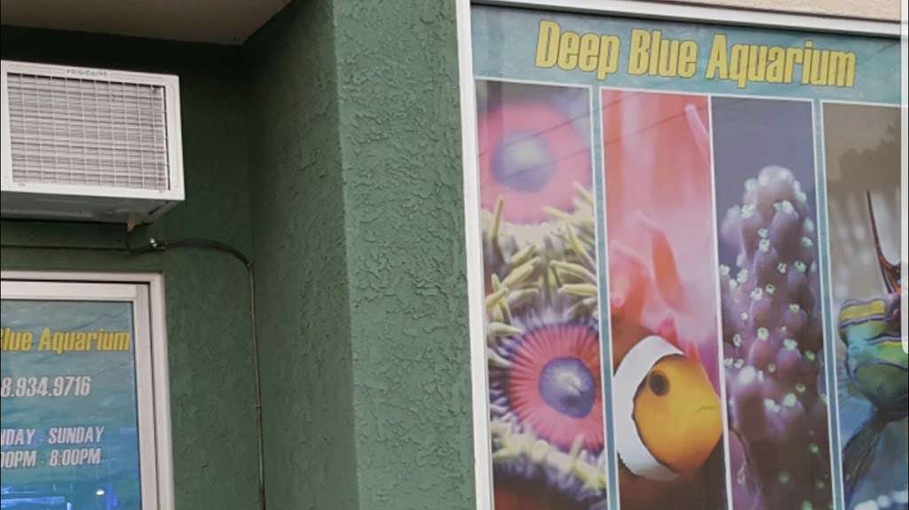 Deep Blue Aquarium | 5611 Willowcrest Ave, North Hollywood, CA 91601, USA | Phone: (818) 934-9716
