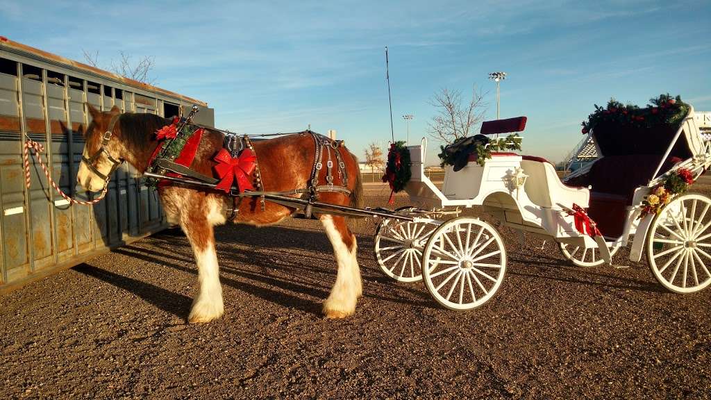 Mountain Shadow Carriages | 10175 CO-392, Windsor, CO 80550, USA | Phone: (303) 358-3198