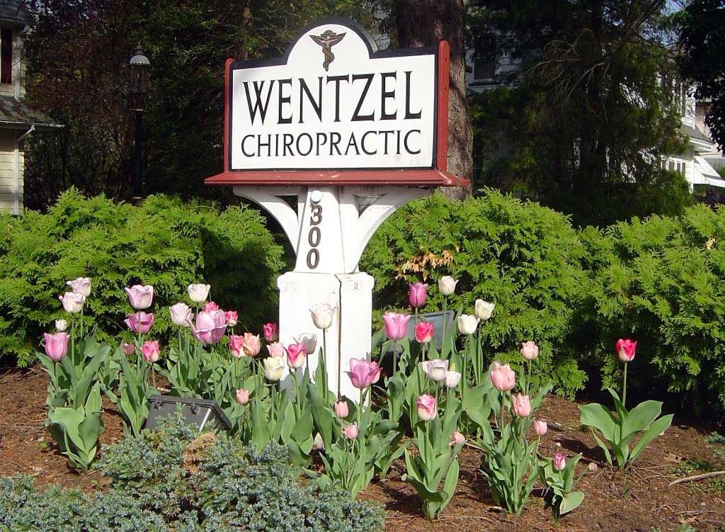 Wentzel Chiropractic Center | 300 High St, Mt Holly, NJ 08060, USA | Phone: (609) 265-1717