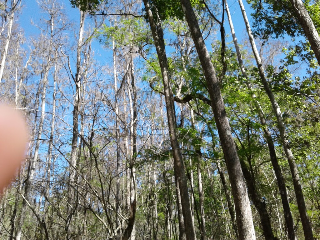 Natures Classroom | 13100 Verges Rd, Thonotosassa, FL 33592, USA | Phone: (813) 987-6969