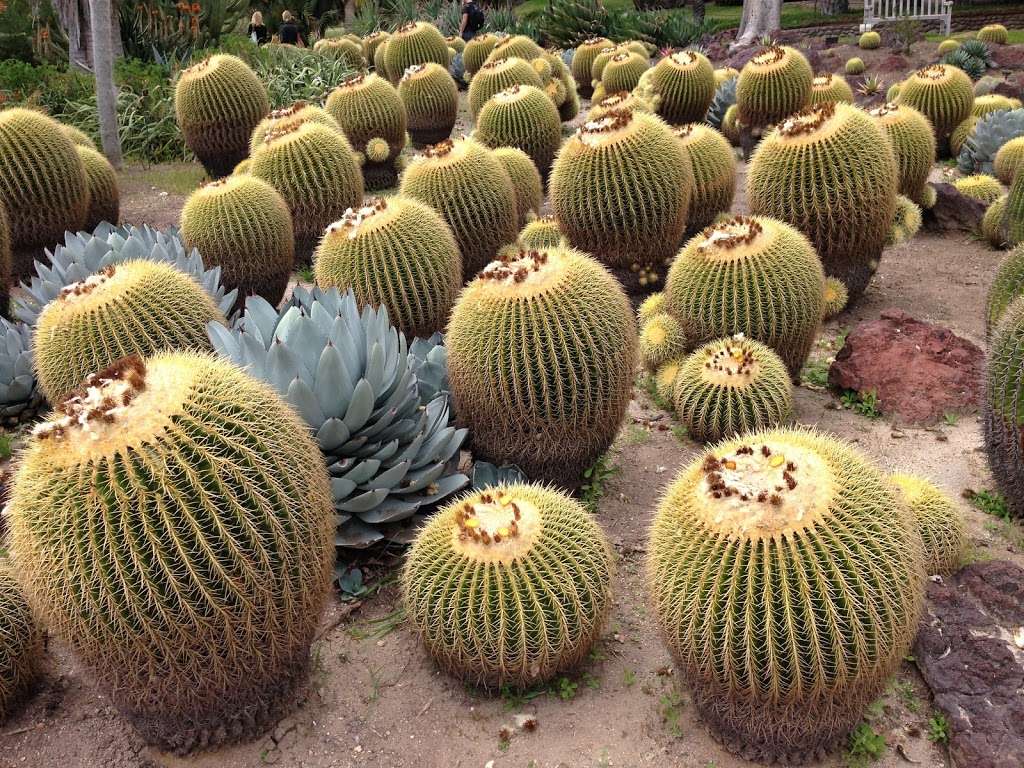 Desert Garden | San Marino, CA 91108, USA