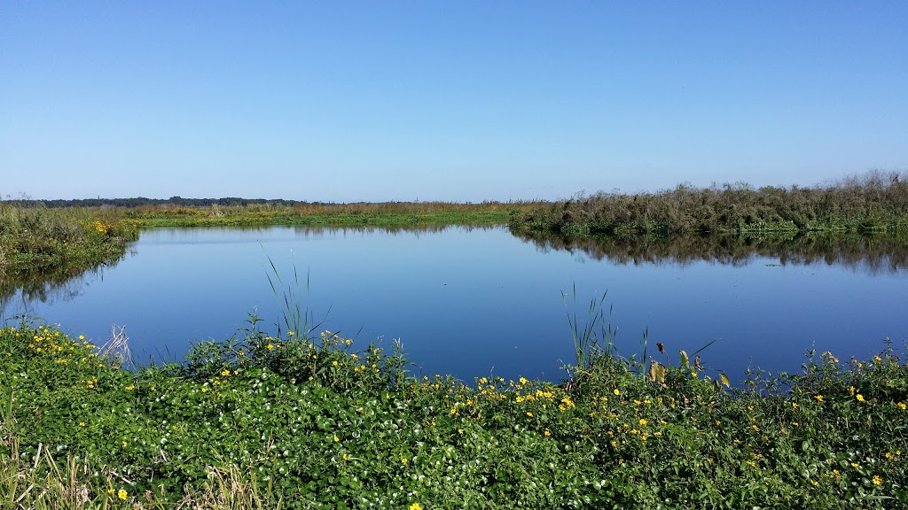 Emeralda Marsh Conservation Area | Emeralda Island Rd, Leesburg, FL 34788, USA | Phone: (386) 329-4404