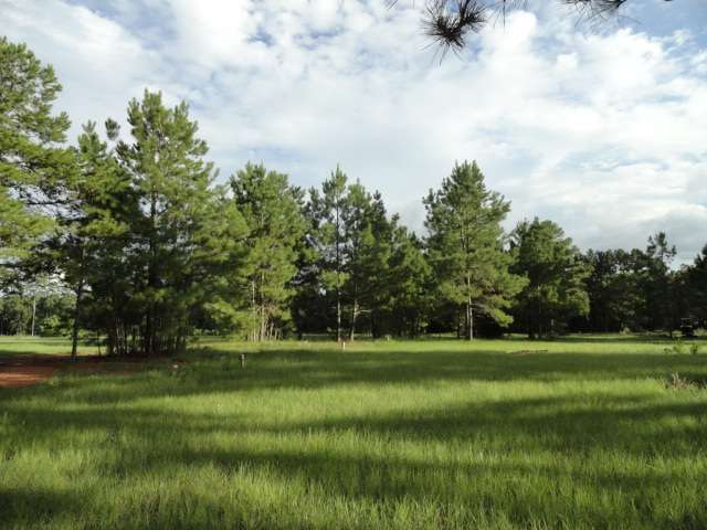 Pinewood Trails RV Park | 16789 Butera Rd, Magnolia, TX 77355, USA | Phone: (832) 671-4866