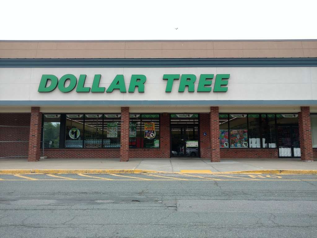 Dollar Tree | 430 Liberty St, Hanson, MA 02341, USA | Phone: (781) 294-0205