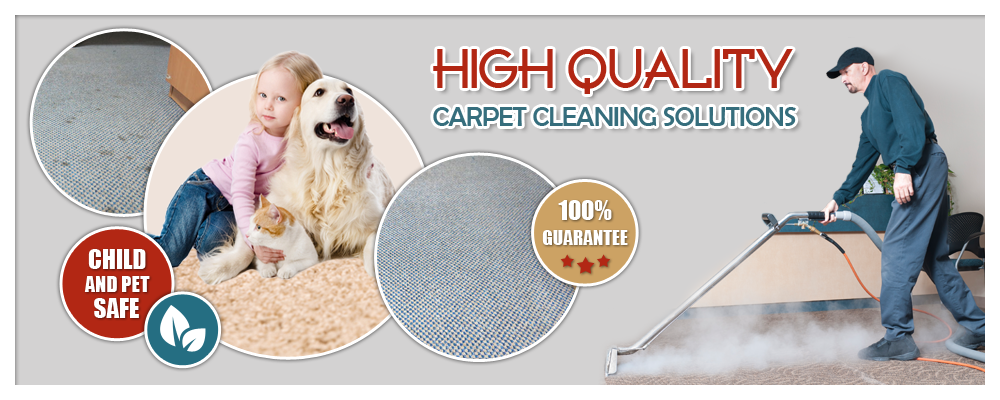 Carpet Cleaning Greatwood TX | 1822 Forest Gate Cir, Sugar Land, TX 77479, USA | Phone: (281) 643-8346