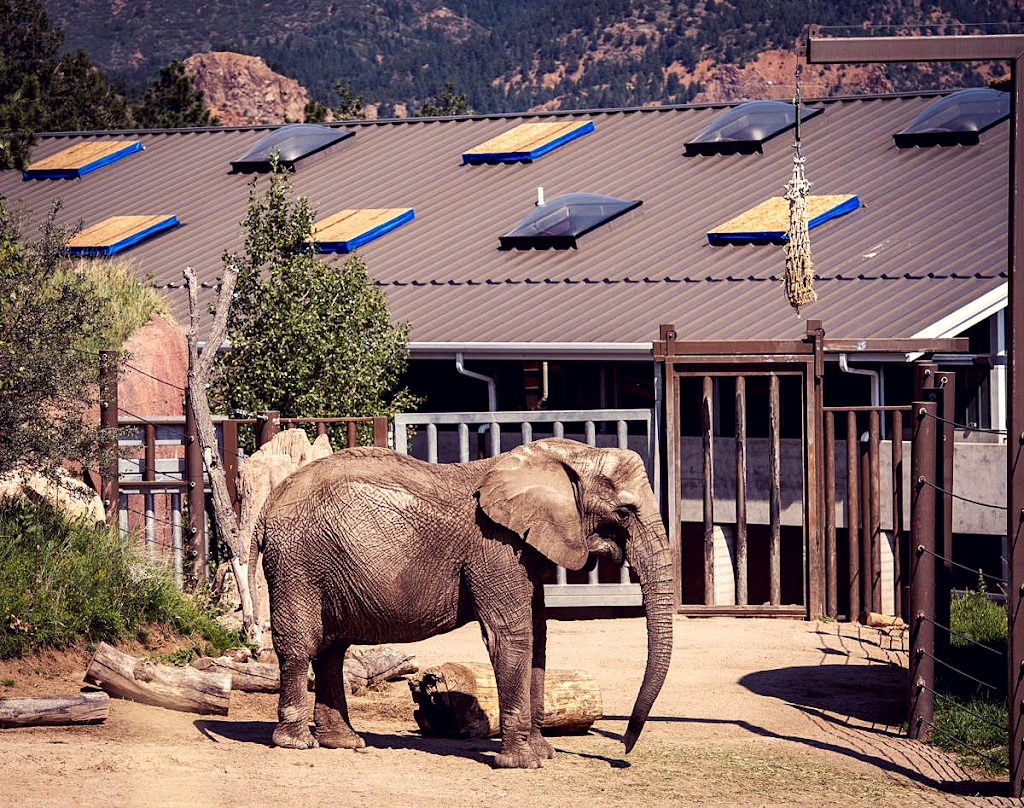 Cheyenne Mountain Zoo | 4250 Cheyenne Mountain Zoo Rd, Colorado Springs, CO 80906, USA | Phone: (719) 633-9925