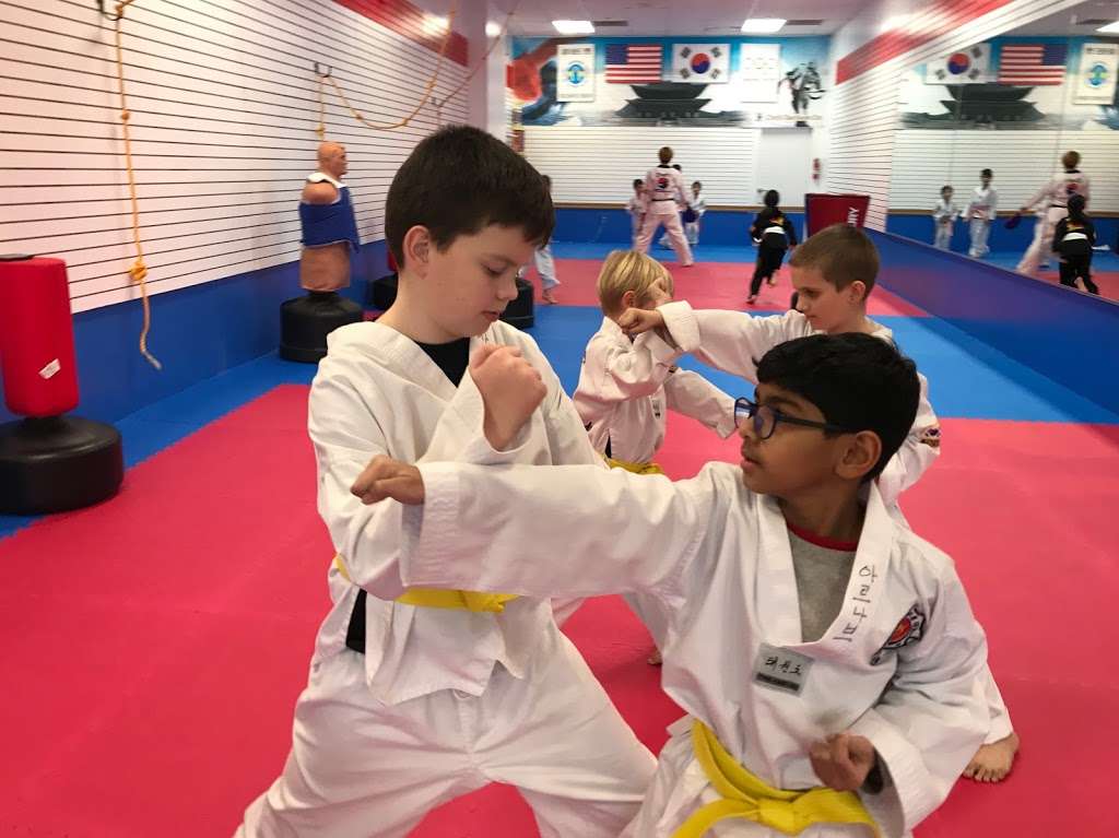 Chois Tae Kwon Do Martial Arts | 18728 N Pointe Dr Unit A, Hagerstown, MD 21742 | Phone: (301) 800-1100