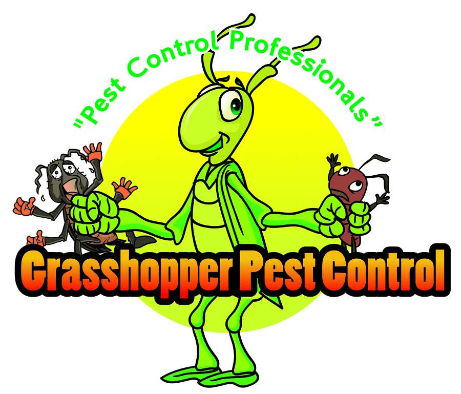 Grasshopper Pest Control | 3308 N Spring St, Independence, MO 64050 | Phone: (816) 258-2156