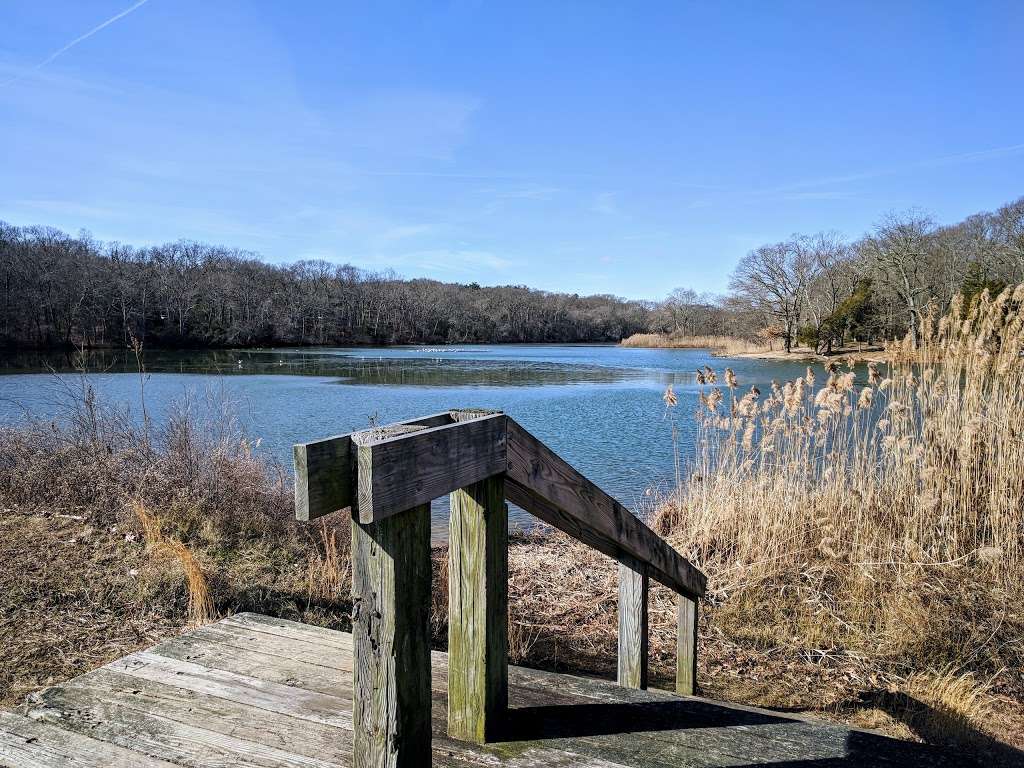 Mary Elmer Lake | Bridgeton, NJ 08302, USA