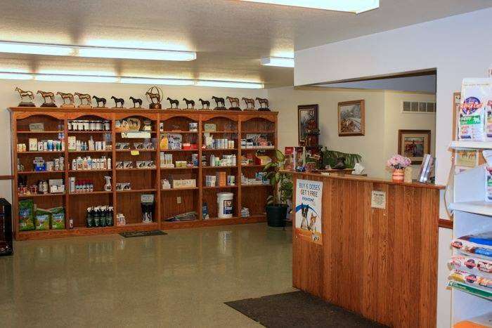 Odessa Animal Clinic | 100 W Main St, Odessa, MO 64076, USA | Phone: (816) 230-8484