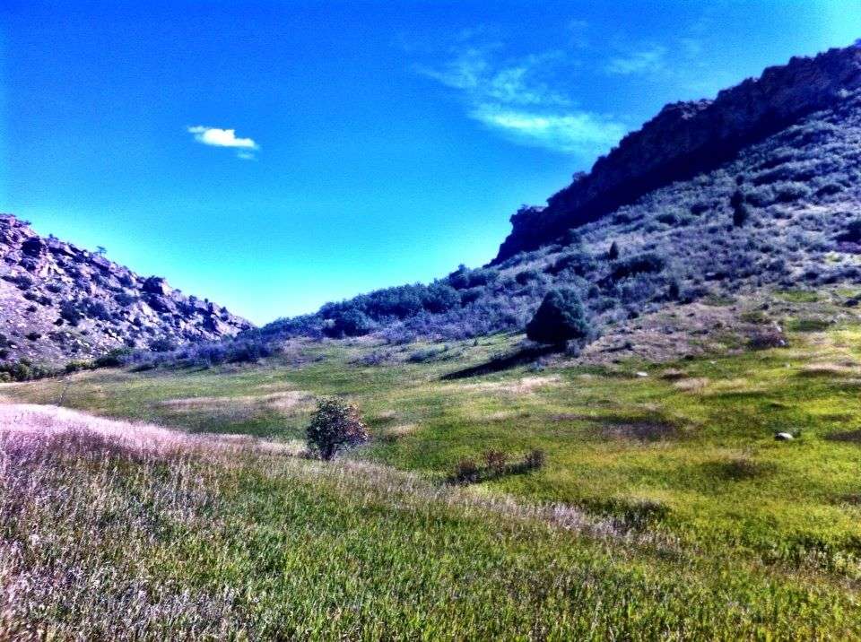 Coyote Song Trail (North) | Littleton, CO 80127, USA
