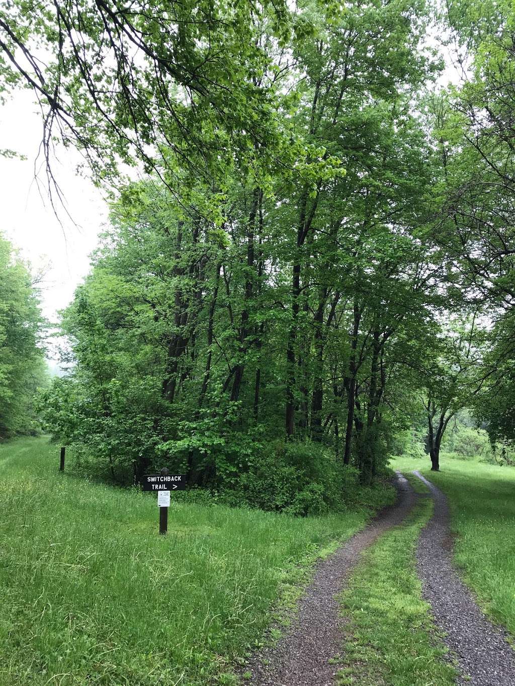 Switchback Railroad Trail | Switchback Railroad Trail, Jim Thorpe, PA 18229, USA