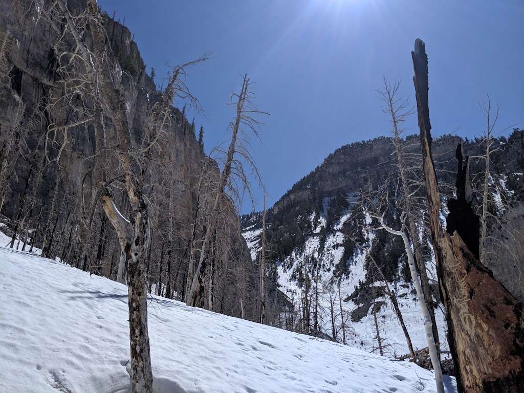 Echo Overlook | South Loop, Mt Charleston, NV 89124, USA