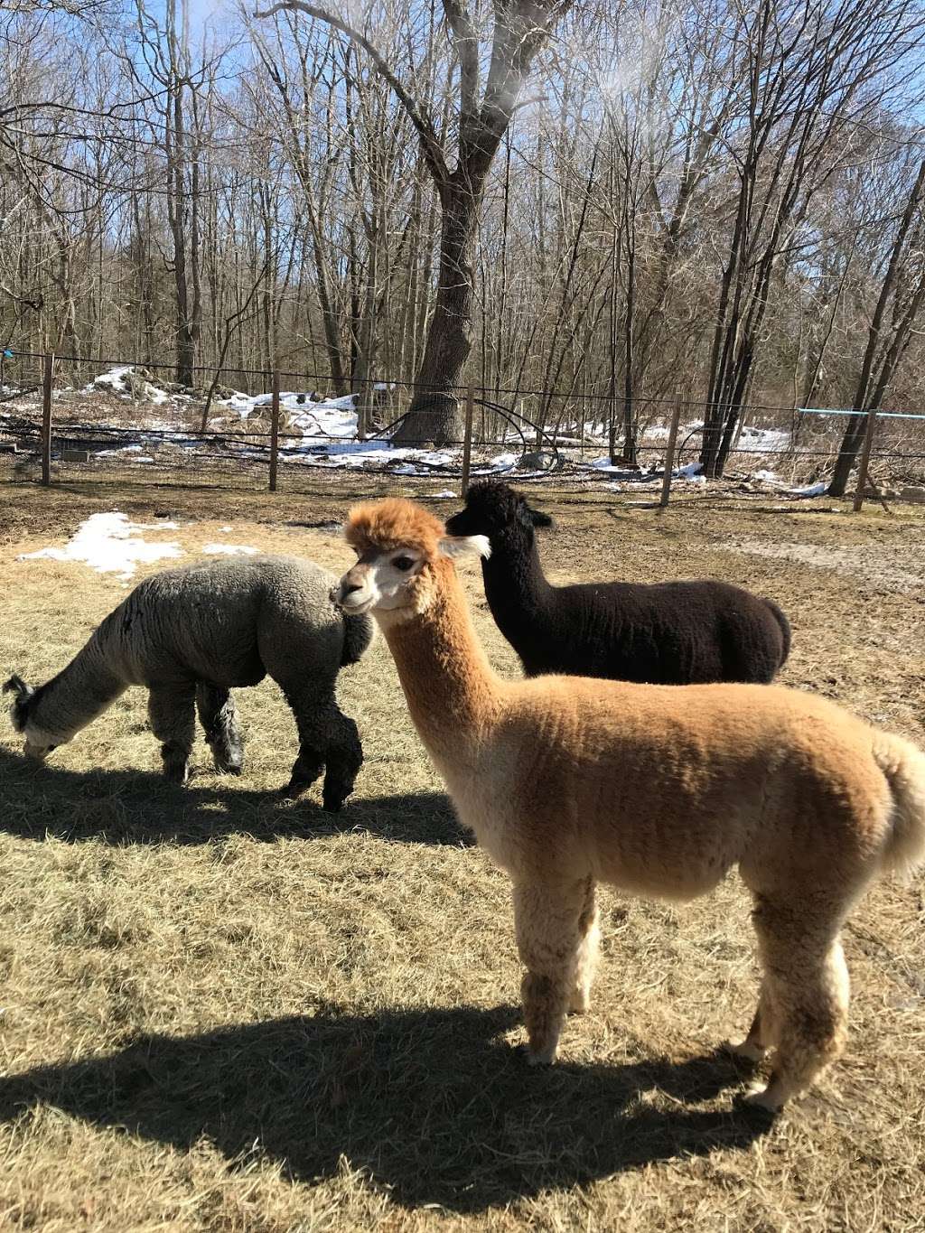 Quisset Wildlife Management Area - Parking Lot | Quisset Rd, Mendon, MA 01756