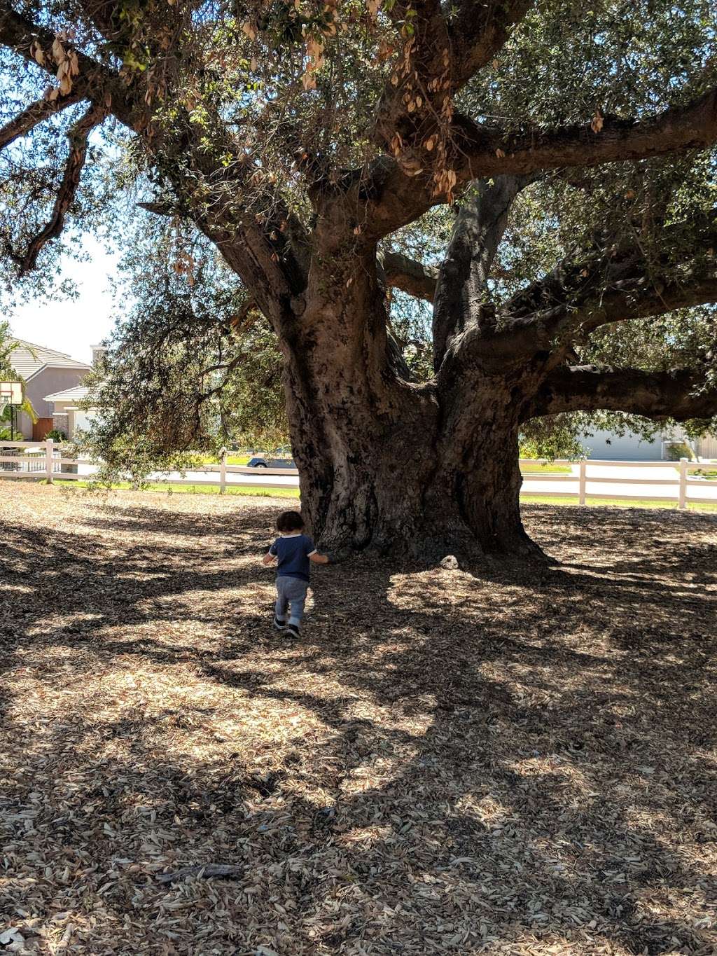 Oak Bluffs Playground | 38219 Oak Bluff Ln, Murrieta, CA 92562, USA