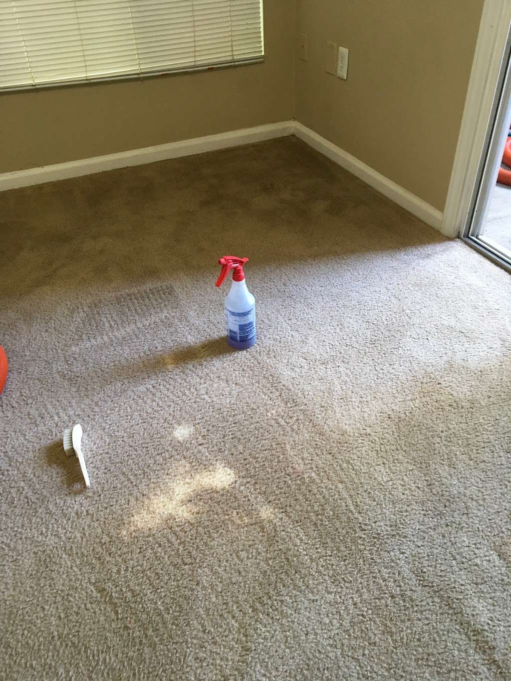 *7 Stars Carpet Cleaning Charlotte NC | 11630 Rabbit Ridge Rd, Charlotte, NC 28270, USA | Phone: (704) 774-5174