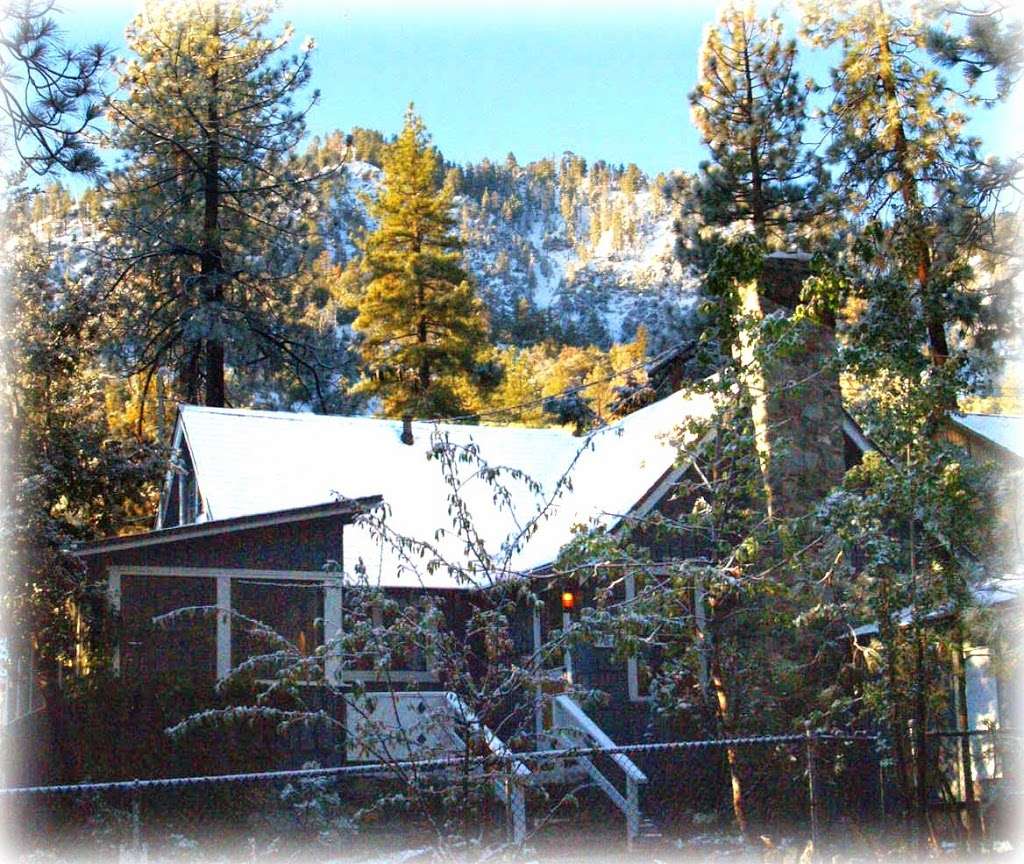 Reindeer Cottage | 1677 Thrush Rd, Wrightwood, CA 92397 | Phone: (626) 629-6032