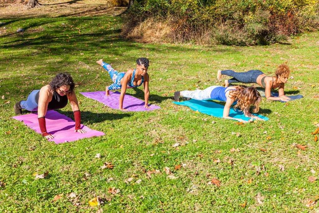 Good Life Experience Pilates | 71 Chestnut Ridge Rd, Armonk, NY 10504, USA | Phone: (914) 487-3453