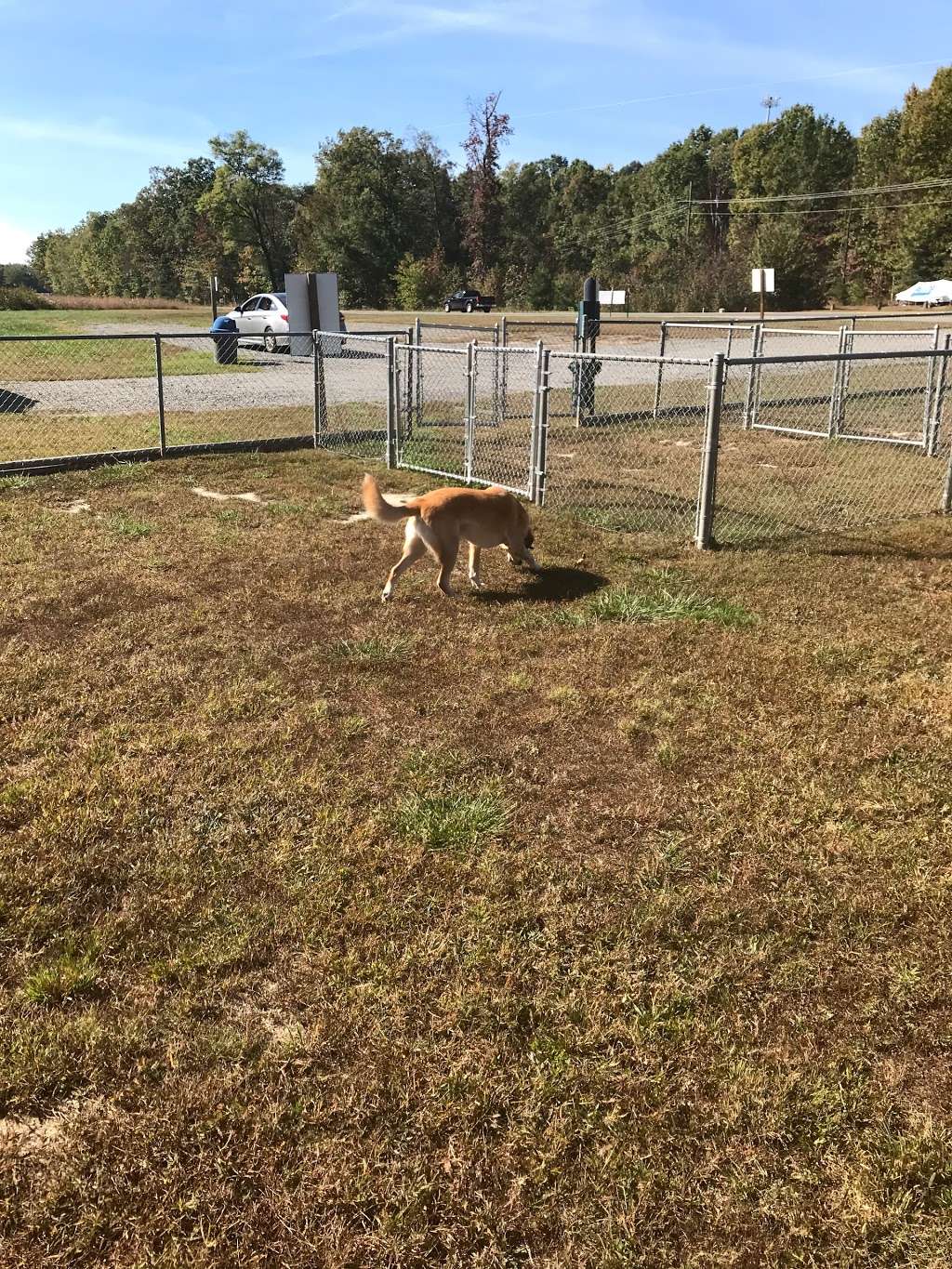 Bark Park Dog Park | 1892 New Bridge Rd, Mineral, VA 23117, USA