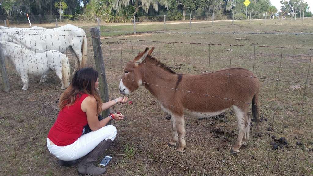 Lake Florence Park | Porter Ave, Montverde, FL 34756, USA