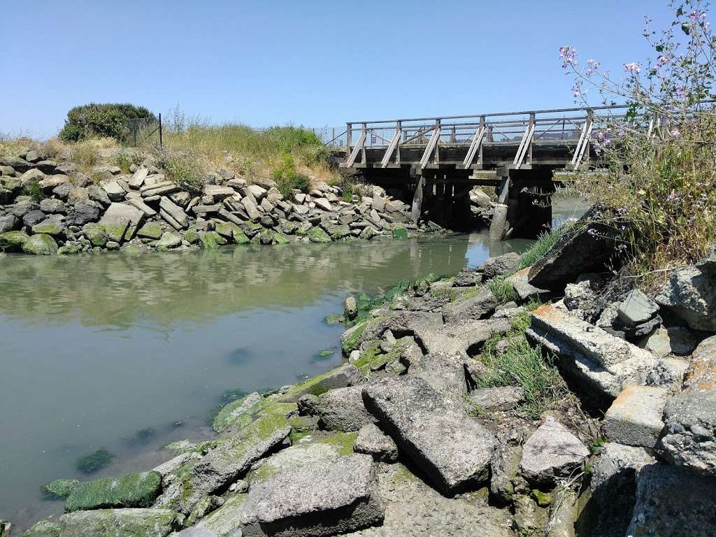 Point Isabel Regional Shoreline | 2701 Isabel St, Richmond, CA 94804 | Phone: (888) 327-2757