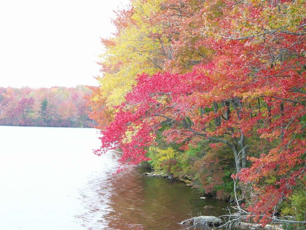 Tobyhanna State Park | PA-423, Tobyhanna, PA 18466, USA | Phone: (570) 894-8336