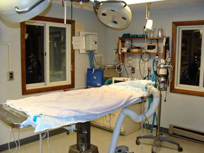 VCA Hanson Animal Hospital | 705 Main St, Hanson, MA 02341, USA | Phone: (781) 293-2511