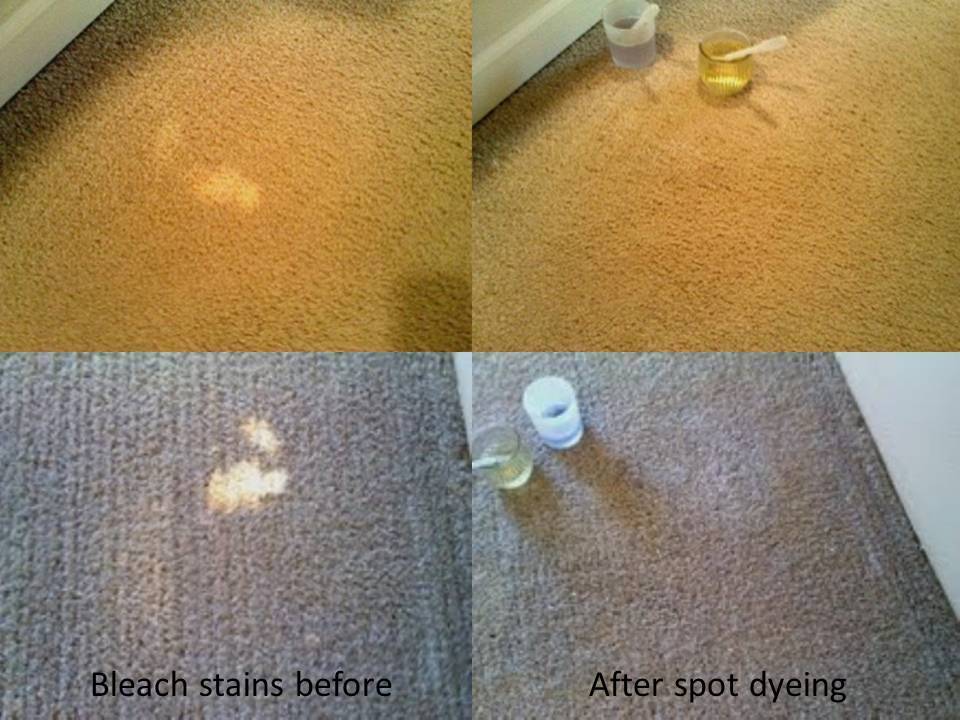 Premier Carpet Cleaning | 5519 NE 49th Ave, Vancouver, WA 98661, USA | Phone: (360) 356-4500