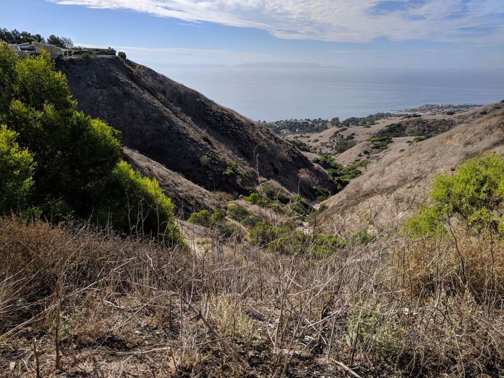 Del Cerro Reserve | Rancho Palos Verdes, CA 90275, USA