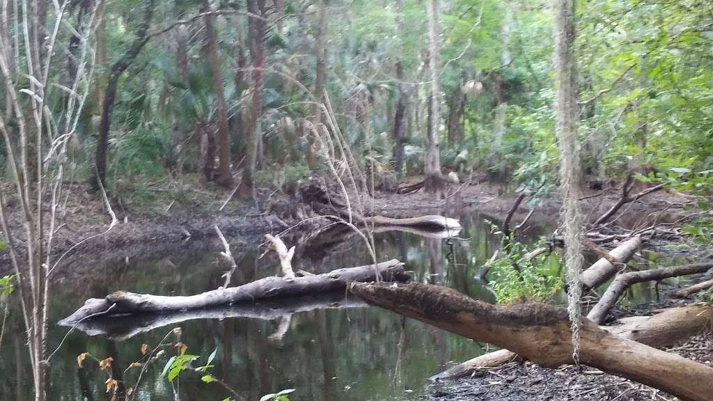 Bull Creek billies lake | St Cloud, FL 34773, USA