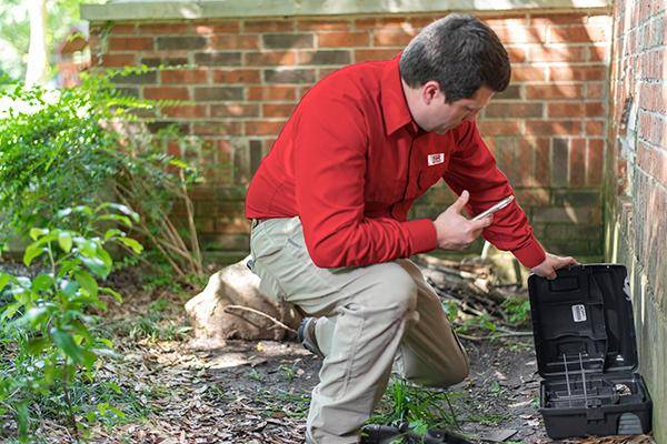 Red Rock Pest Control | 4300 N Pecos Rd Suite 29, Las Vegas, NV 89115, USA | Phone: (702) 518-2580