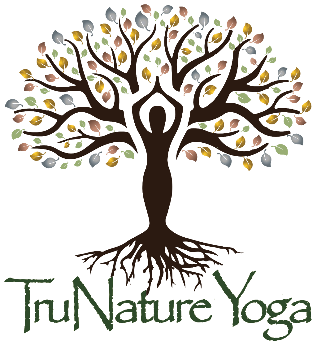 Tru Nature Yoga & Wellness | 219 Espanong Rd, Lake Hopatcong, NJ 07849 | Phone: (862) 803-9252