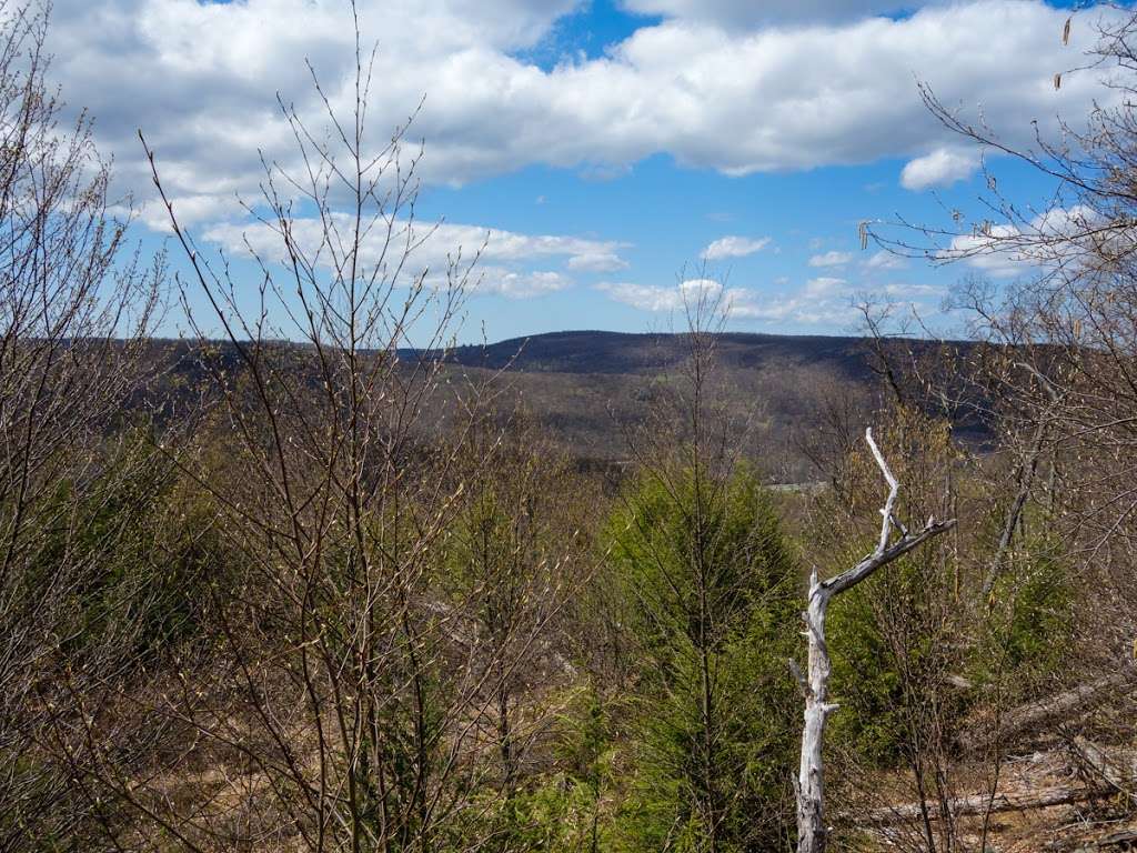 Arden Surebridge Trail (red markers) | Tuxedo, NY 10975, USA