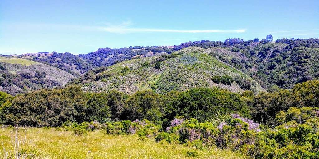 Garin Regional Park | 1320 Garin Ave, Hayward, CA 94544 | Phone: (888) 327-2757