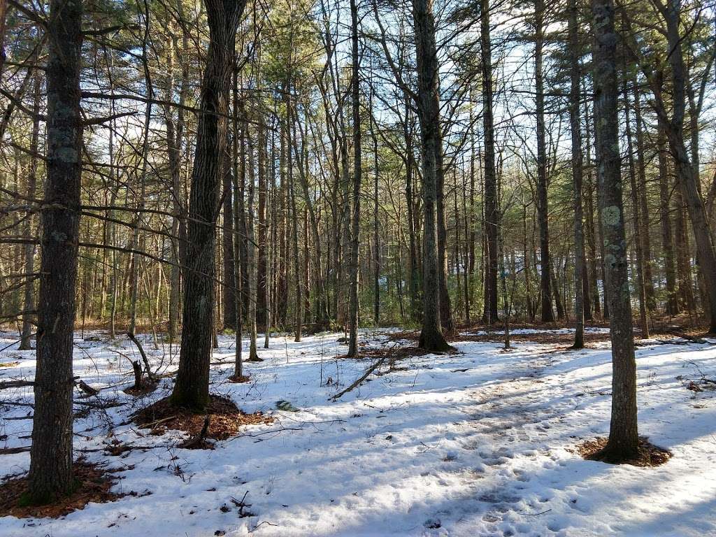 Warner Trail | 207 Edge Hill Rd, Sharon, MA 02067, USA