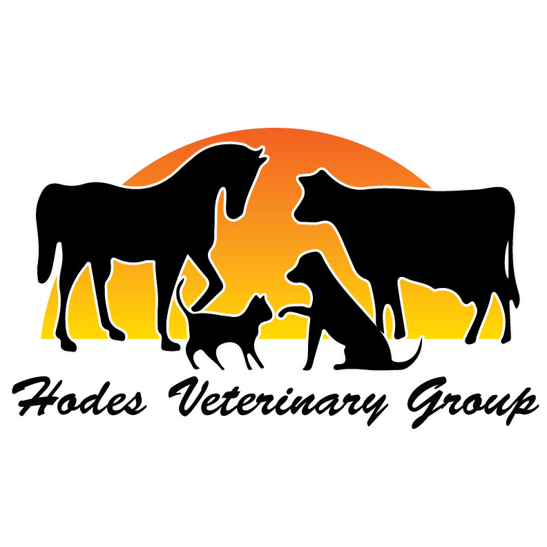 Hodes Veterinary Group | 265 US-46, Mine Hill Township, NJ 07803 | Phone: (973) 328-7112