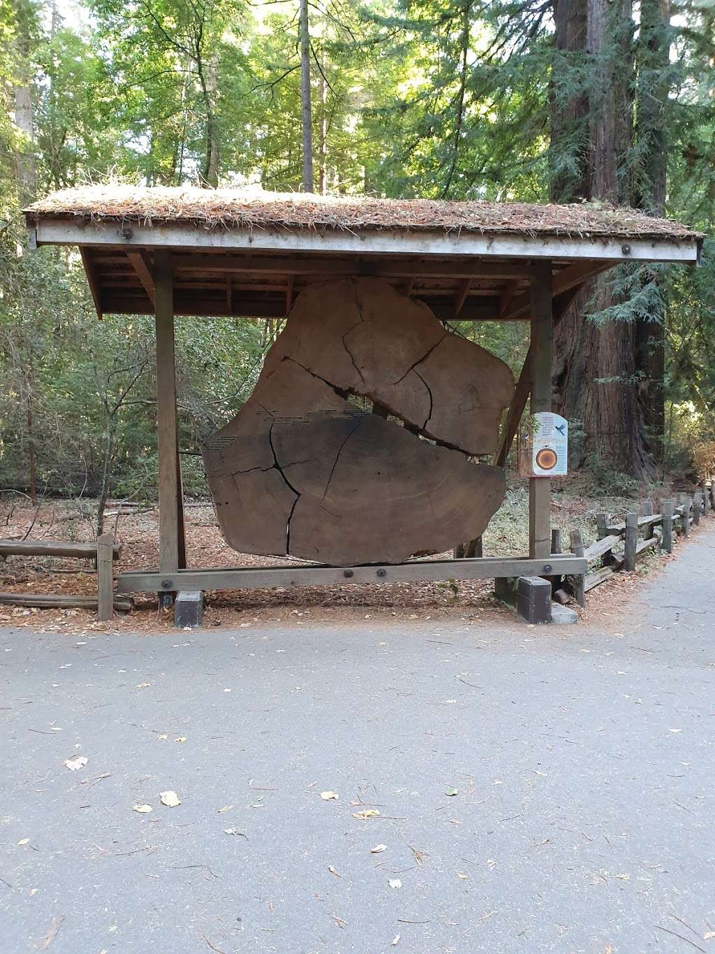 Visitor Center | Redwood Grove Loop Trail, Felton, CA 95018, USA | Phone: (831) 335-4598