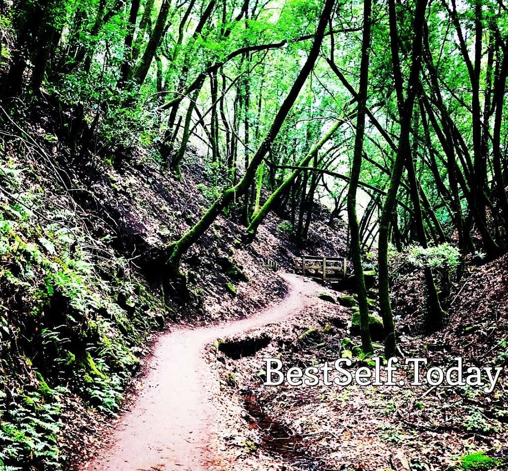 Best Self Walking Therapy | 22500 Cristo Rey Dr, Los Altos, CA 94024, USA | Phone: (408) 813-5324