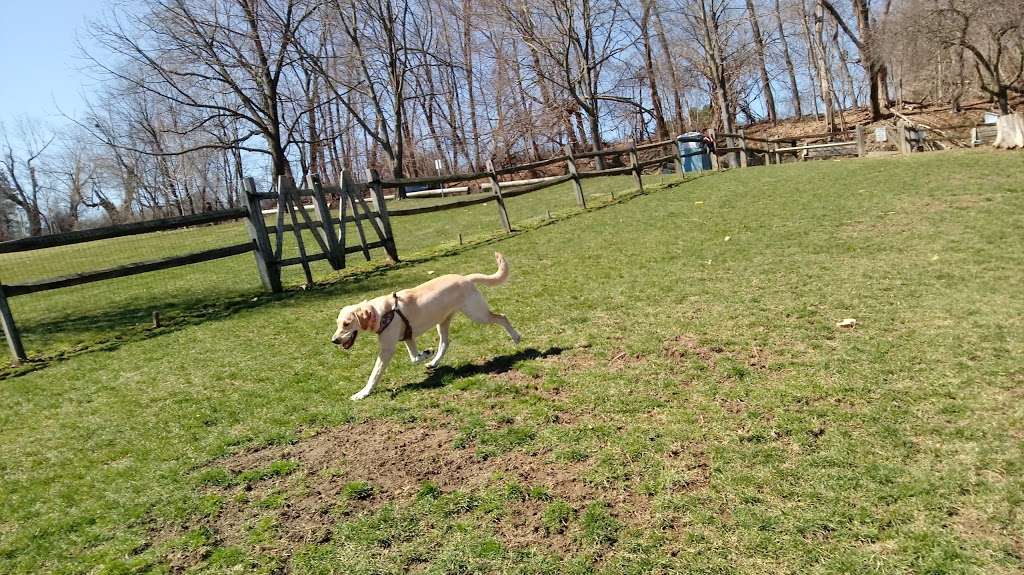 Nazareth Dog Park | Black Rock Rd, Nazareth, PA 18064, USA | Phone: (610) 759-3215