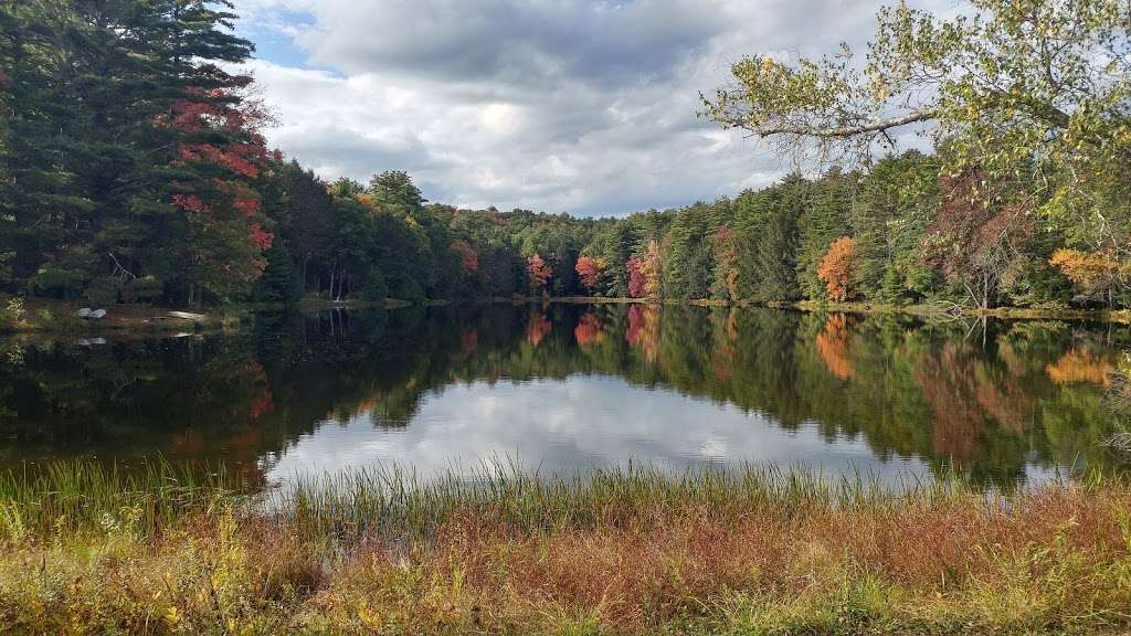 State Game Lands Number 116 | Shohola, PA 18458, USA