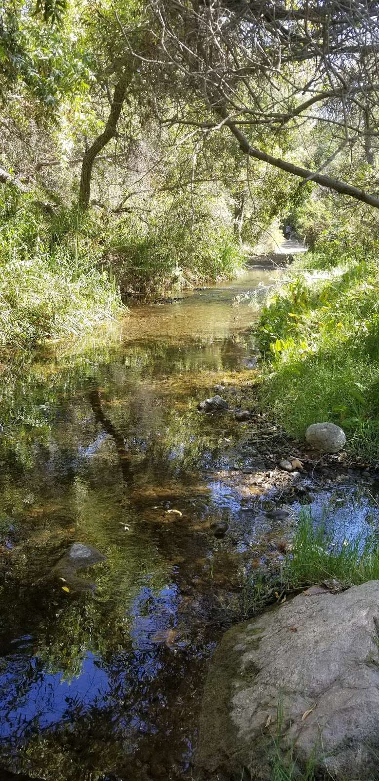 Cactus Trail | Los Penasquitos Canyon Trail, San Diego, CA 92129, USA